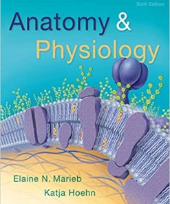 Anatomy & Physiology 6th Edition