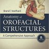 Anatomy of Orofacial Structures A Comprehensive Approach 8th Edition