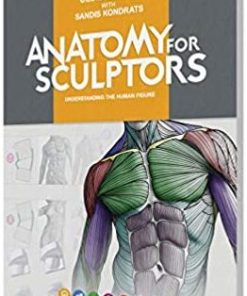 Anatomy for Sculptors Understanding the Human Figure