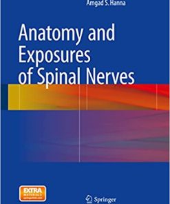 Anatomy and Exposures of Spinal Nerves