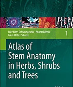 Atlas of Stem Anatomy in Herbs Shrubs and Trees Vol 1