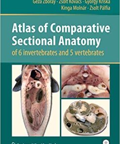 Atlas of Comparative Sectional Anatomy of 6 invertebrates and 5 vertebrates