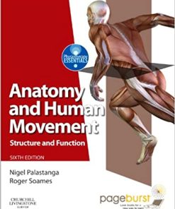 Anatomy and Human Movement Structure 6th Ed