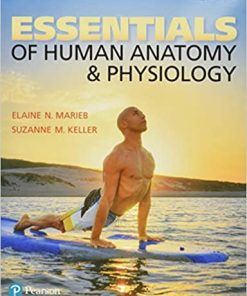 Essentials of Human Anatomy & Physiology 13th Edition