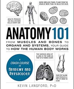 Anatomy 101 From Muscles and Bones to Organs and Systems Your Guide to How the Human Body Works