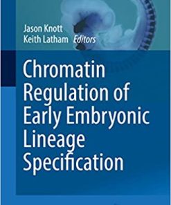 Chromatin Regulation of Early Embryonic Lineage Specification