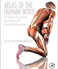 Atlas Of The Human Body Central Nervous System And Vascularization