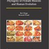 Comparative Anatomy and Phylogeny of Primate Muscles and Human Evolution