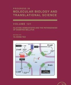 Glucose Homeostatis and the Pathogenesis of Diabetes Mellitus