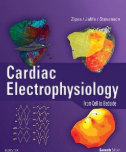 Cardiac Electrophysiology From Cell to Bedside 7th Edition