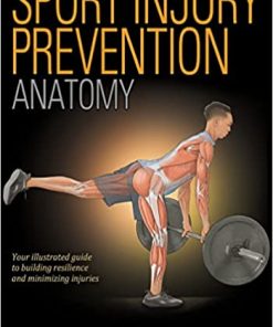 Sport Injury Prevention Anatomy