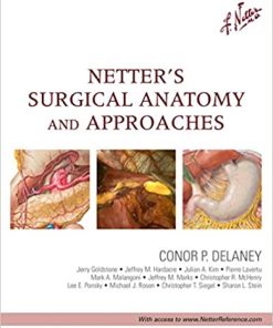 Netter’s Surgical Anatomy and Approaches