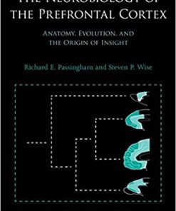 The Neurobiology of the Prefrontal Cortex Anatomy Evolution and the Origin of Insight