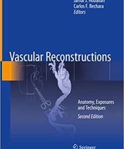 Vascular Reconstructions Anatomy Exposures and Techniques