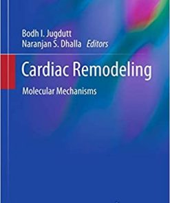 Cardiac Remodeling Molecular Mechanisms