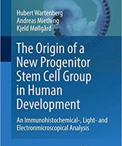 The Origin of a New Progenitor Stem Cell Group in Human Development An Immunohistochemical Light and Electronmicroscopical Analysis