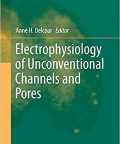 Electrophysiology of Unconventional Channels and Pores