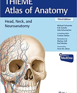 THIEME Atlas of Anatomy Head Neck and Neuroanatomy 3rd Edition