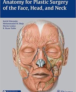 Anatomy for Plastic Surgery of the Face Head and Neck