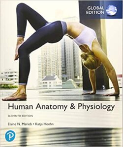 Human Anatomy Physiology 11th Edition