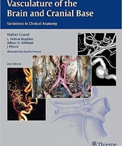 Vasculature Of The Brain And Cranial Base Variations in Clinical Anatomy 2nd Ed