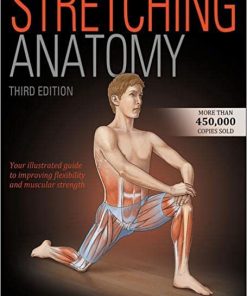 Stretching Anatomy