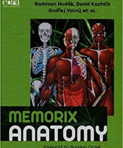 Memorix Anatomy