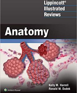 Lippincott Illustrated Reviews Anatomy