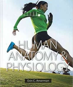 Human Anatomy & Physiology By by Erin C Amerman
