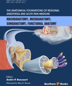 The Anatomical Foundations Of Regional Anesthesia And Acute Pain Medicine Macroanatomy Microanatomy Sonoanatomy Functional anatomy
