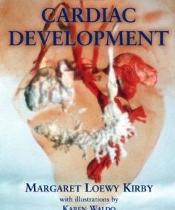 Cardiac Development