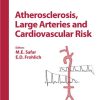 Atherosclerosis Large Arteries And Cardiovascular Risk