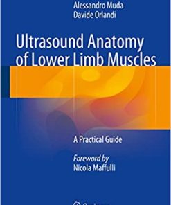 Ultrasound Anatomy of Lower Limb Muscles A Practical Guide