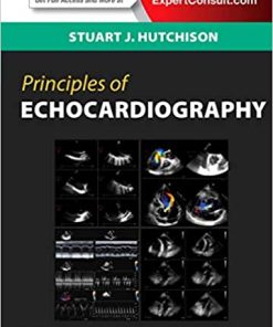 Principles of Echocardiography and Intracardiac Echocardiography
