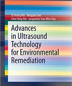 Advances in Ultrasound Technology for Environmental Remediation
