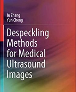 Despeckling Methods for Medical Ultrasound Images