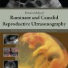 Practical Atlas of Ruminant and Camelid Reproductive Ultrasonography