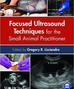 Focused Ultrasound Techniques for the Small Animal Practitioner
