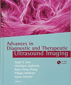 Advances in Diagnostic and Therapeutic Ultrasound Imaging