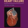Therapeutic Strategies in Heart Failure By Clyde W Yancy James Young