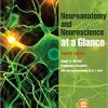 Neuroanatomy and Neuroscience at a Glance 4th Ed