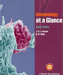 Immunology At A Glance 10th Ed