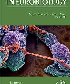 Nanotechnology and the Brain