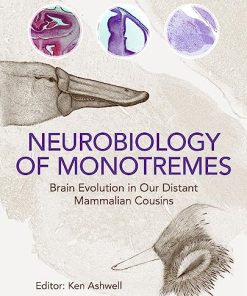 Neurobiology of Monotremes