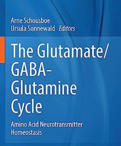 The Glutamate GABA Glutamine Cycle Amino Acid Neurotransmitter Homeostasis
