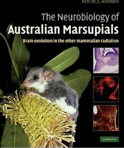 The Neurobiology of Australian Marsupials Brain Evolution in the Other Mammalian Radiation