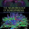 The Neurobiology of Schizophrenia