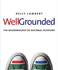 WellGrounded The Neurobiology of Rational Decisions