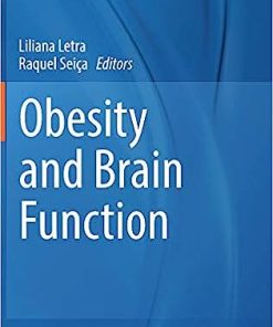 Obesity and Brain Function