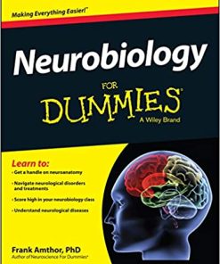 Neurobiology For Dummies